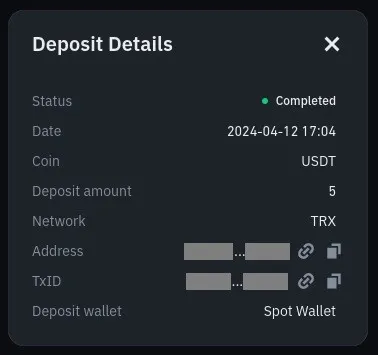 USDT Cryptocurrency transaction sent by the scammers to our crypto wallet 